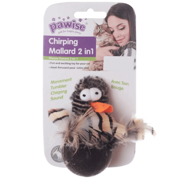 Pawise Chirping Mallard Interactive Cat Toy for Endless Fun