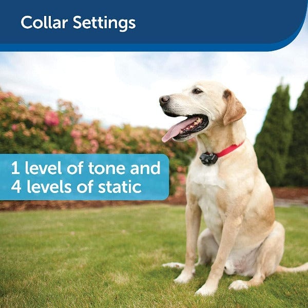 PetSafe Extra Waterproof Receiver Collar for Wireless Dog Fence
