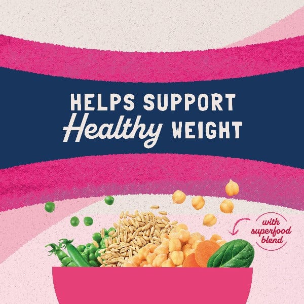 Natural Balance Low - Calorie Chicken & Salmon Meal Dry Cat Food for Fat Cats