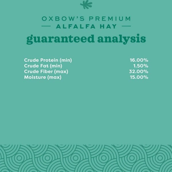 Oxbow Premium Alfalfa Hay for Small Pets, High in Fiber and Protein