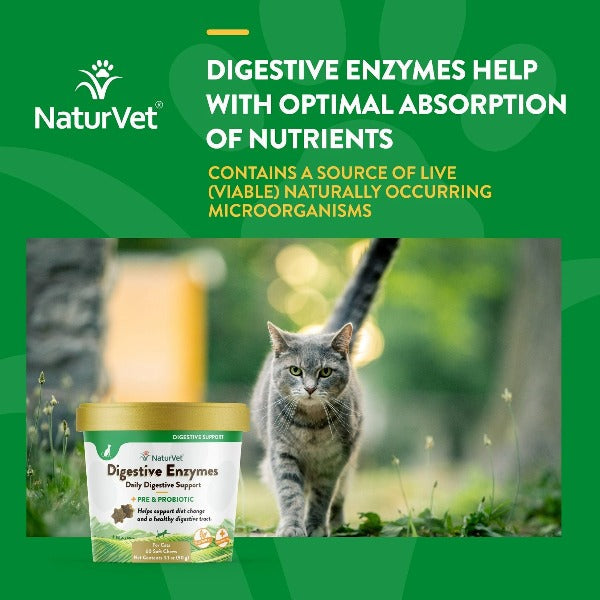 NaturVet Premium Digestive Enzymes Soft Chews with Prebiotics and Probiotics for Feline Companions