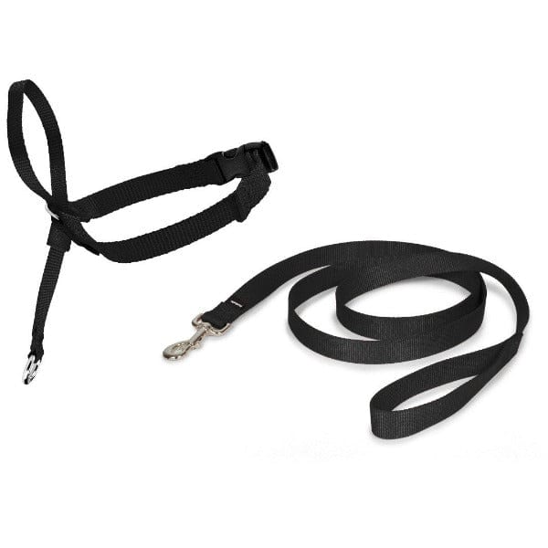 PetSafe Comfortable Nylon Easy Walk Headcollar for Dogs to Stop Pulling