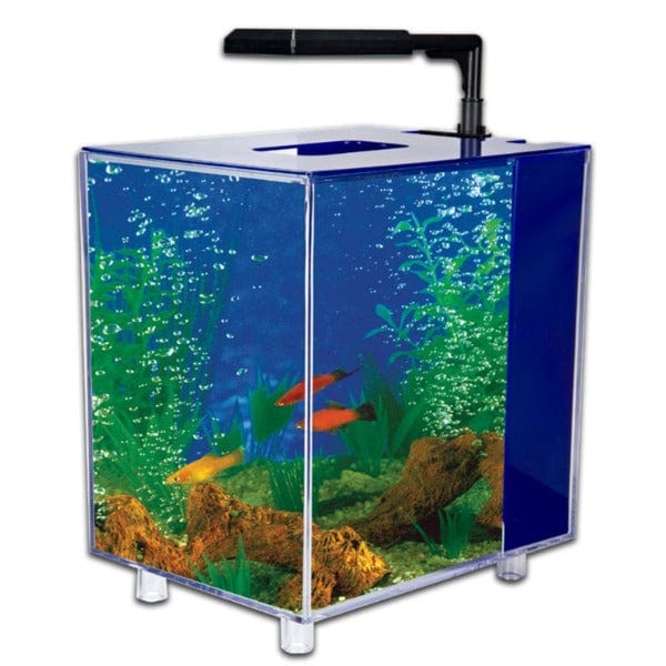 Stunning Prism Blue Desktop Nano Aquarium for Small Spaces