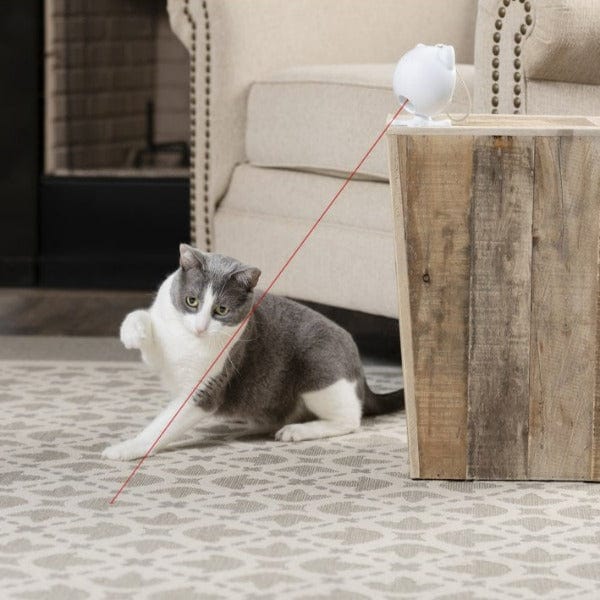 PetSafe Interactive Dancing Dot Laser Toy for Active Cats