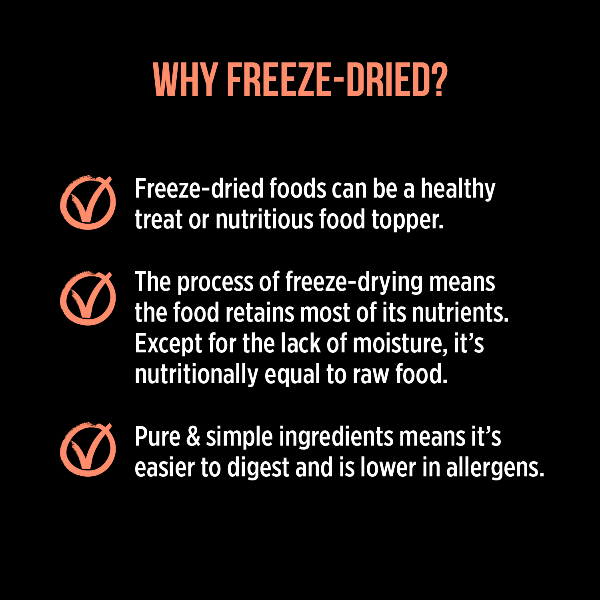 Nutrience Freshly Freeze-Dried Salmon Treats for Cats