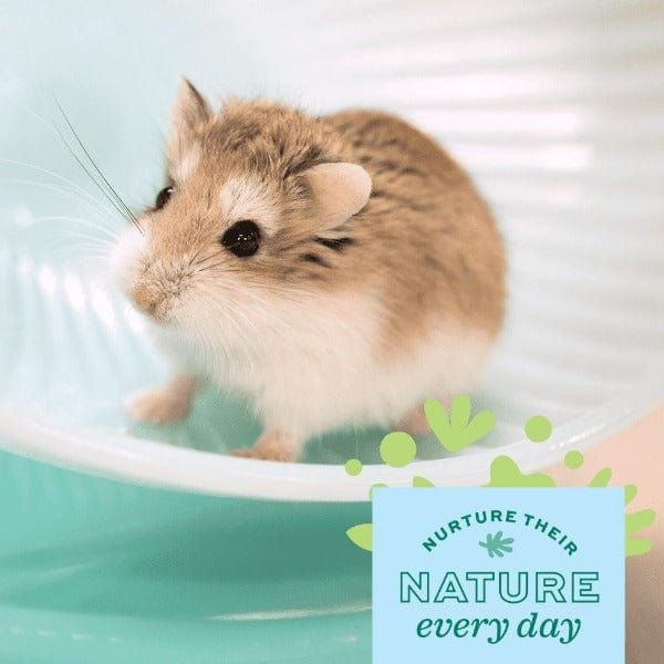Oxbow Enriched Life - Ideal Habitat for Small Breed Hamsters