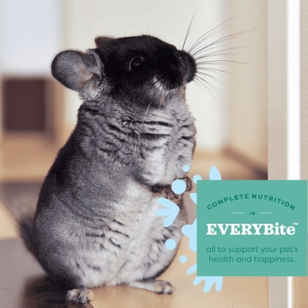 Oxbow Non - GMO Garden Select Chinchilla Food for Active Pets