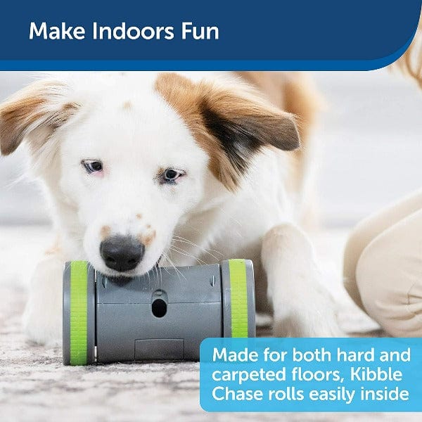 PetSafe Interactive Kibble Chase Roaming Treat Dispensing Dog Toy for Enhanced Canine Entertainment