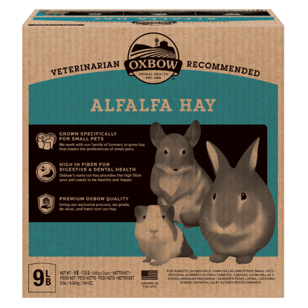 Oxbow Premium Alfalfa Hay for Small Pets, High in Fiber and Protein
