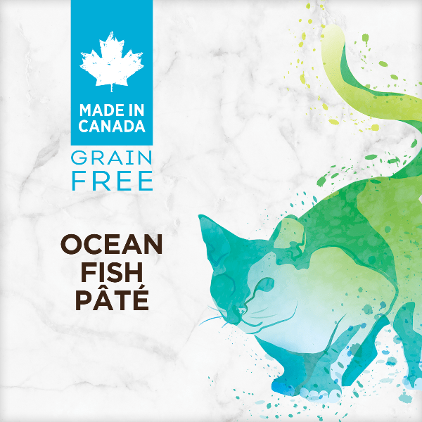 Nutrience Grain-Free Canned Ocean Fish Pâté Cat Food - Ideal for Sensitive Cats