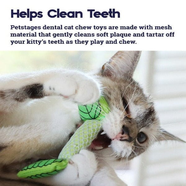 Petstages Natural Mint-Filled Cat Toy for Fresh Breath and Dental Care