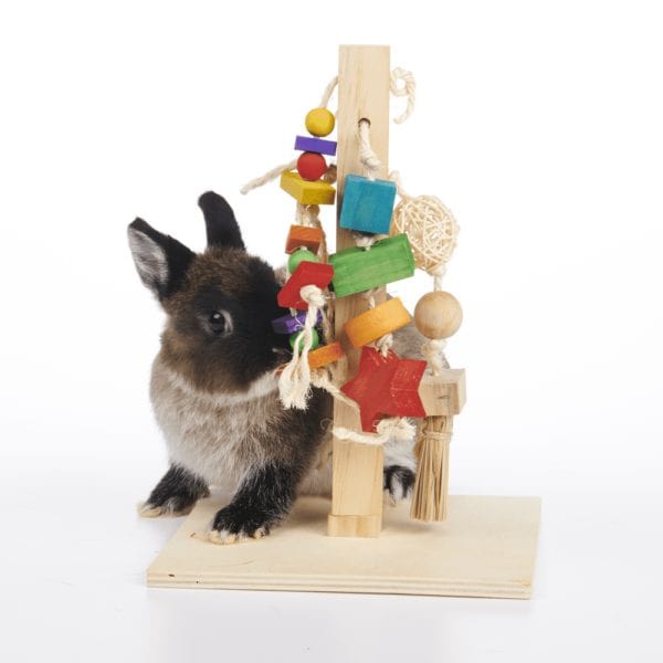 Oxbow Enriched Life Pet Play Post - An Ideal Enrichment Toy for Small Pets
