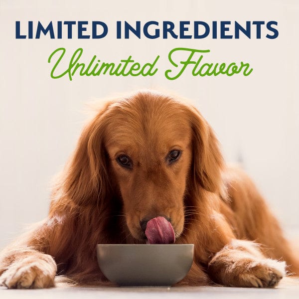 Natural Balance Premium Plant - Powered Vegetarian Dry Dog Food Recipe for Adult Dogs