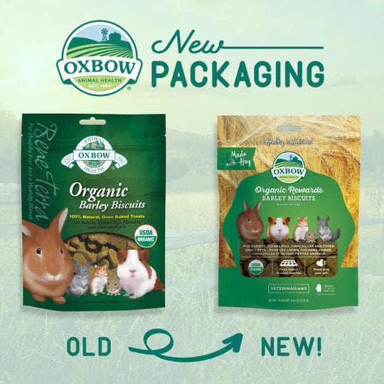 Oxbow Organic Barley Biscuits - Healthy Treats for Small Pets