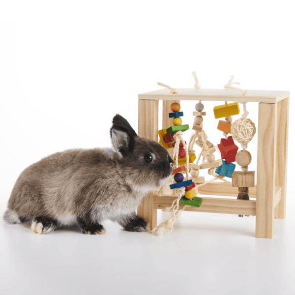 Oxbow Enriched Life - Interactive Play Table for Pets