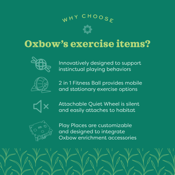 Oxbow Enriched Life Pet Entertainment Run - Around Ball