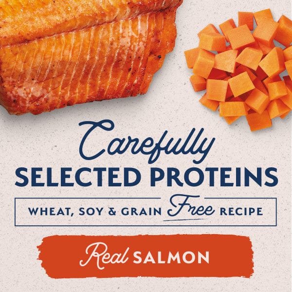 Natural Balance Adult Dog Canned Food: Limited Ingredient Sweet Potato & Salmon Recipe