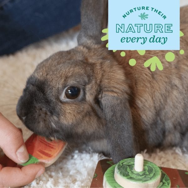 Oxbow Enriched Life - Crunchy Carrot Shaped Pet Chew Toy