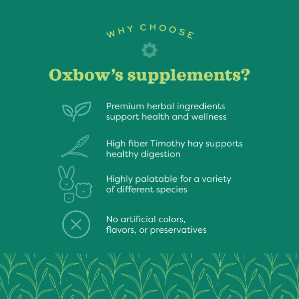 Oxbow's Premium Natural Science Supplement for Pet Urinary Health