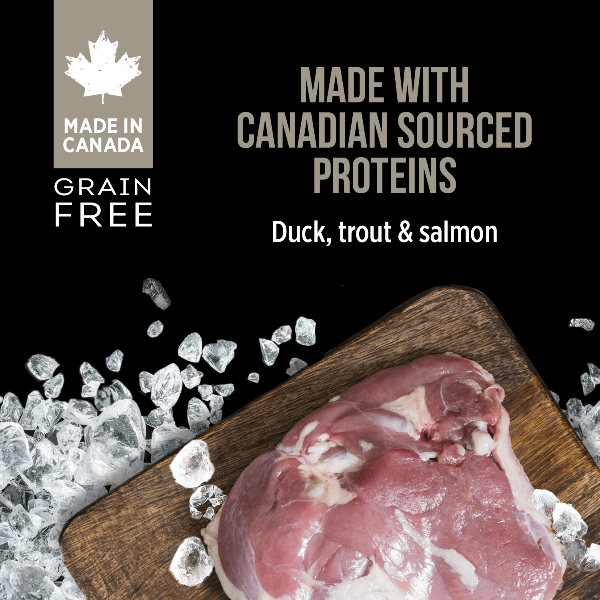 Nutrience SubZero Northern Lakes Grain-Free Pate Canned Dog Food with Fresh Canadian Ingredients