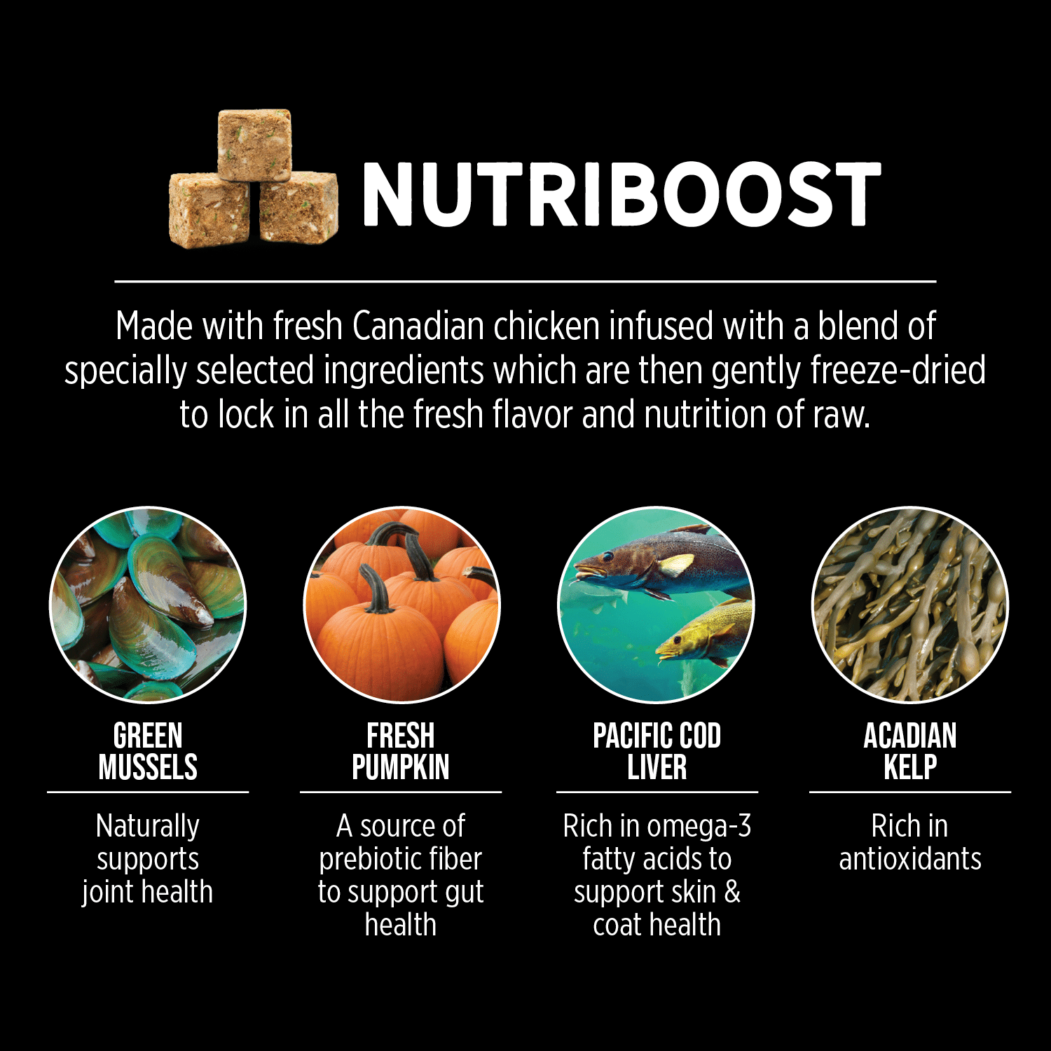 Nutrience SubZero Fraser Valley High - Protein Dry Dog Food for Large Breeds, 10kg