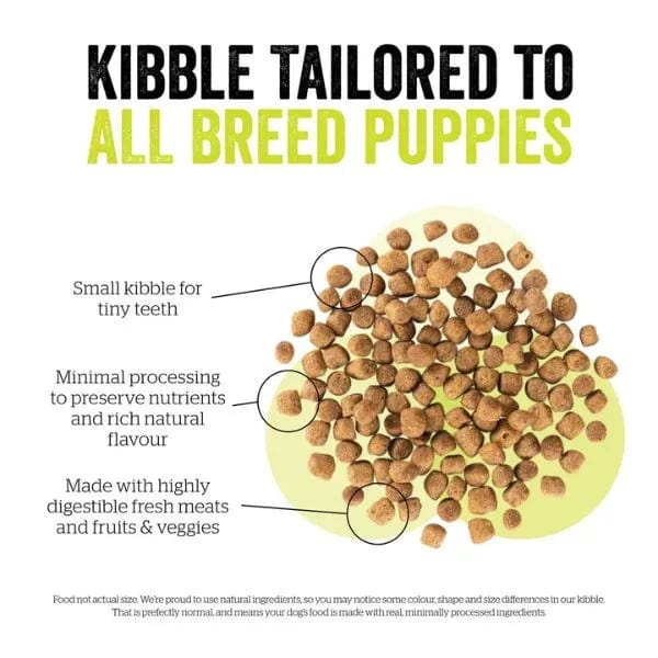 Now Fresh Small Breed Puppy Dry Dog Food with Turkey, Salmon & Duck