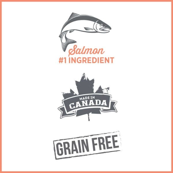 Nutrience Care+ Hypoallergenic Sensitive Skin & Stomach Canned Cat Food with Fresh Salmon