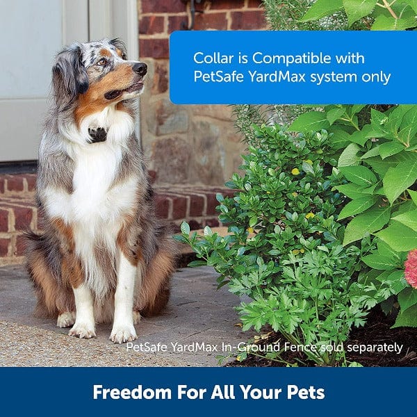 PetSafe Rechargeable In - Ground Fence Receiver Collar for YardMax System - Ideal Pet Accessory
