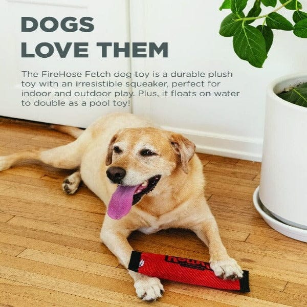 Outward Hound Durable Fire Hose Material Fetching Dog Toy for Interactive Play