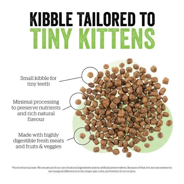 Now Fresh Premium Dry Kitten Food with Turkey, Salmon & Duck - 8 Pound Bag