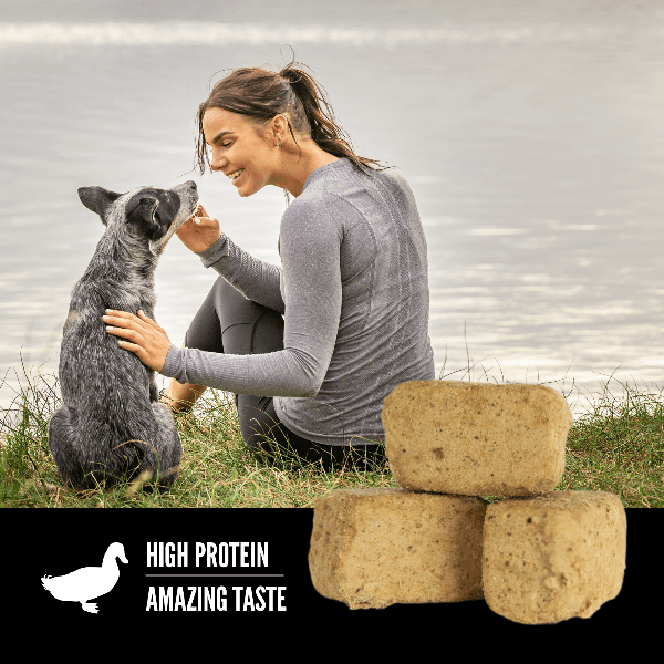Orijen Premium Freeze - Dried Dog Treats with Free - Run Duck Recipe