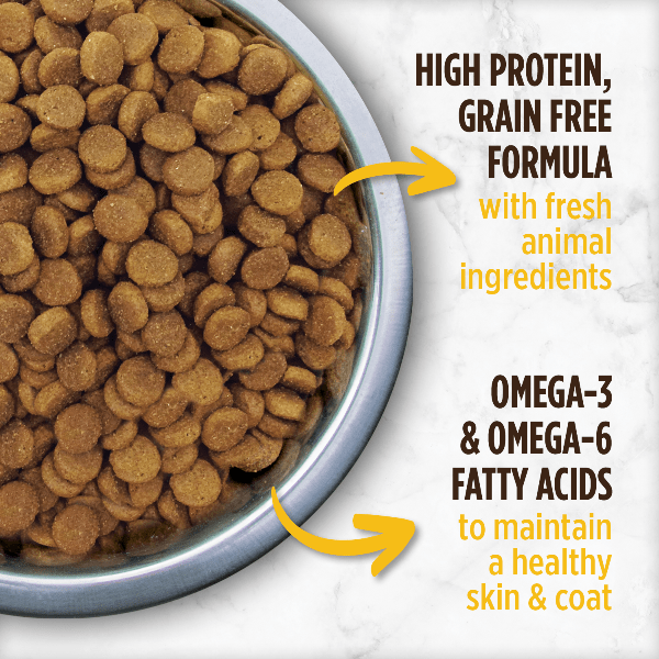 Nutrience Small Breed Grain-Free Dry Dog Food with Turkey, Chicken & Herring - Ideal for All Life Stages