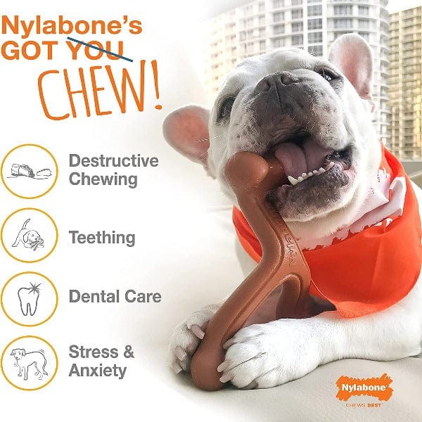 Nylabone Durable Textured Chicken-Flavored Dog Chew Bone