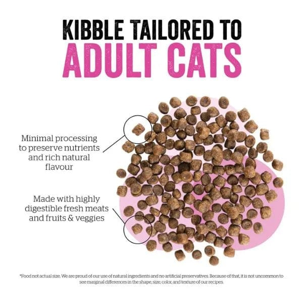 Now Fresh Adult Dry Cat Food: Turkey, Salmon & Duck Recipe
