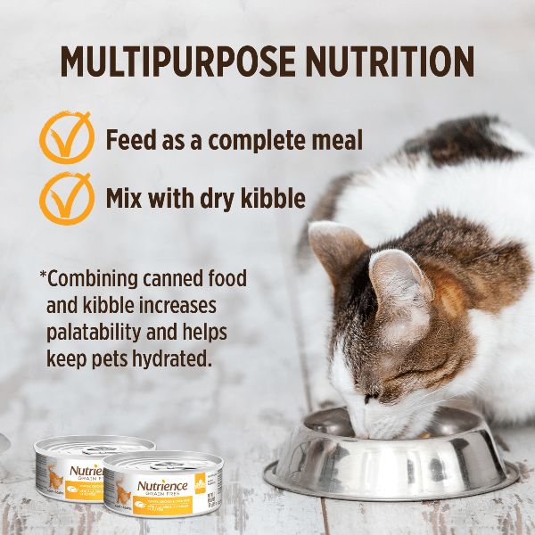 Nutrience Grain-Free Canned Cat Food: Turkey, Chicken & Liver Pate