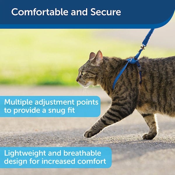 PetSafe Come With Me Cat Harness and Bungee Leash - An Ideal Walking Gear for Felines