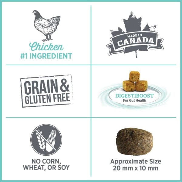 Nutrience Care+ Premium Dry Dog Food for Optimal Oral Health
