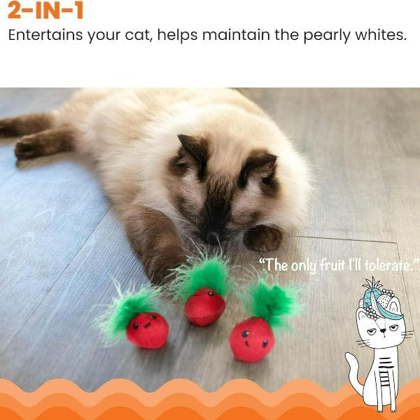 Petstages Three - Pack Straw - Babies Interactive Catnip Cat Toy