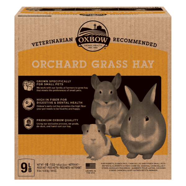 Oxbow Premium Orchard Grass Hay for Small Pets