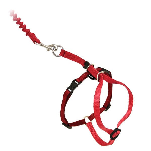 PetSafe Come With Me Cat Harness and Bungee Leash - An Ideal Walking Gear for Felines