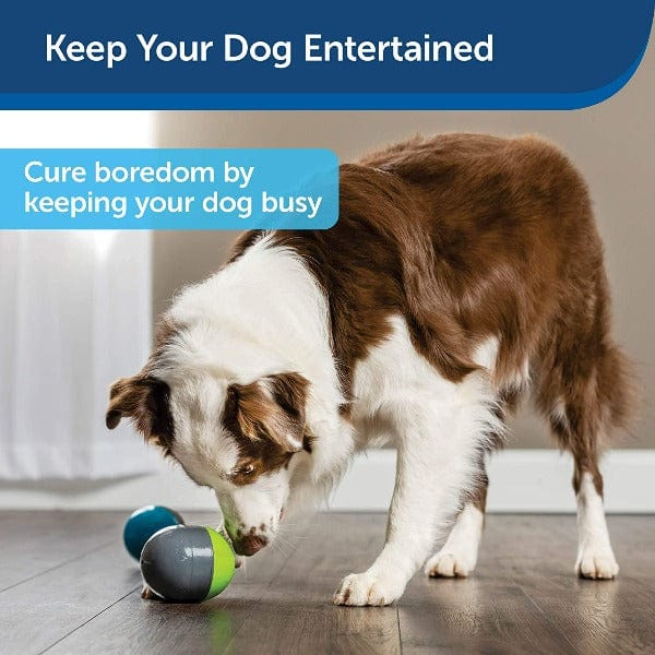PetSafe Brand Ricochet Electronic Interactive Dog Toy Set