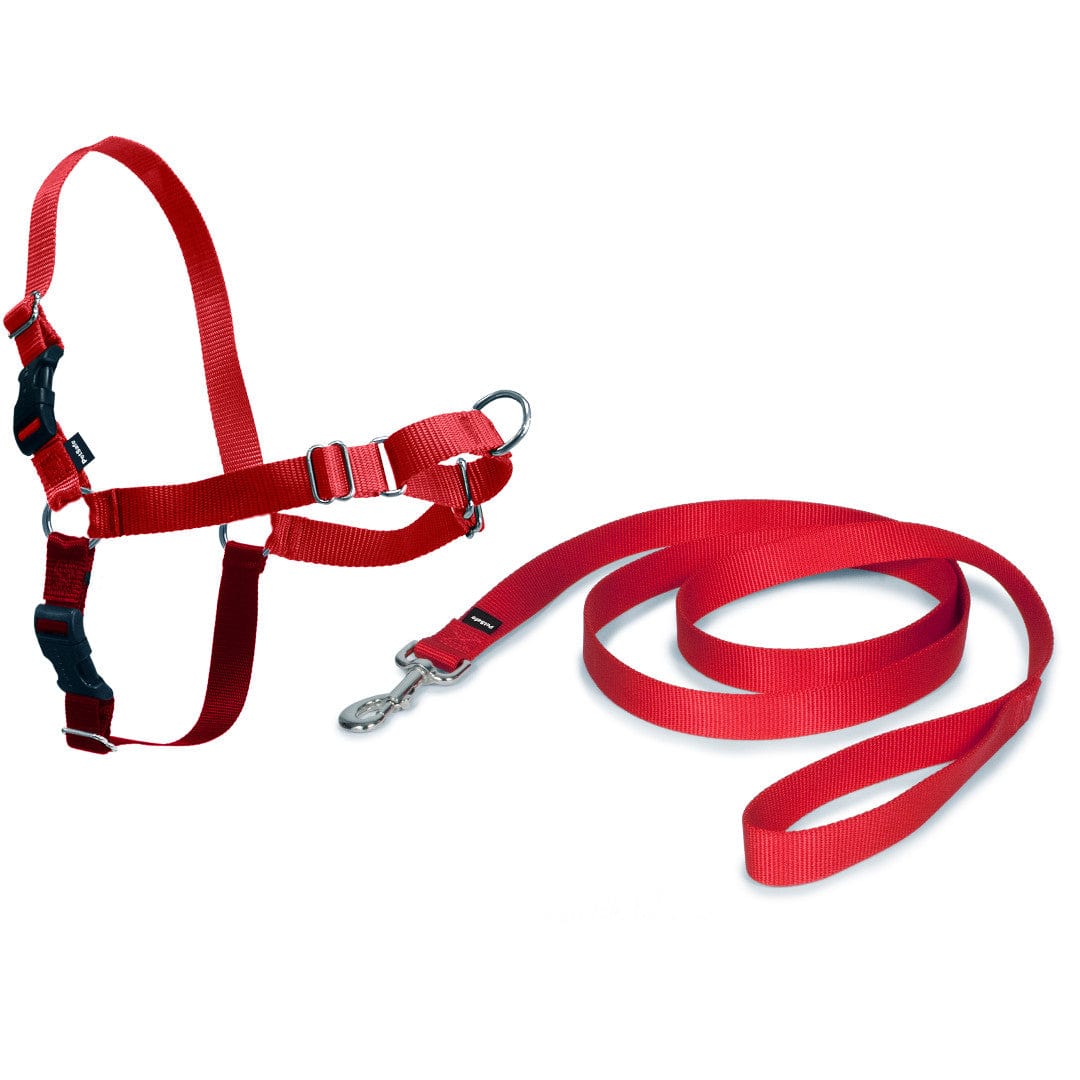 PetSafe Comfortable Easy Walk Dog Harness with Lead