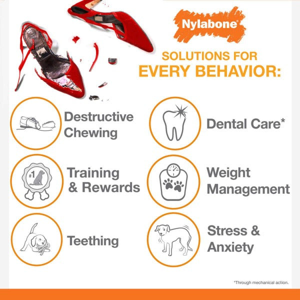 Nylabone Durable Power Chew Dog Toy in Lobster Shape