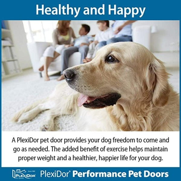 High - Performance PlexiDor Door - Mounted Pet Doors for All Kinds of Pets