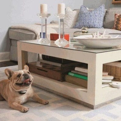 PetSafe Mini Pawz Away Pet Barrier for Indoor Area Protection