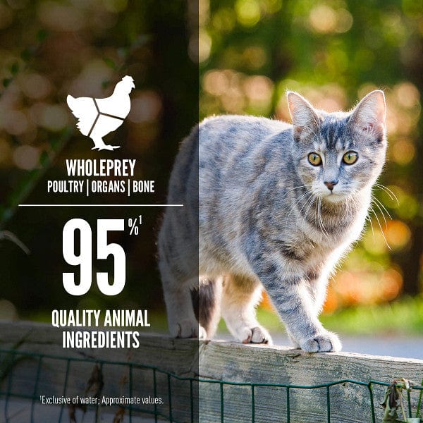 Orijen Super Premium Duck & Chicken Canned Cat Food for Optimal Nutrition