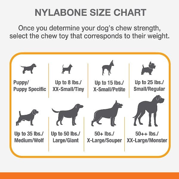 Nylabone Durable Textured Chicken-Flavored Dog Chew Bone