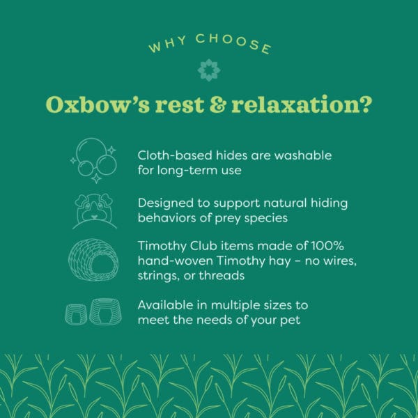 Oxbow Enriched Life Timothy Hut - Ideal Rest Spot for Small Pets