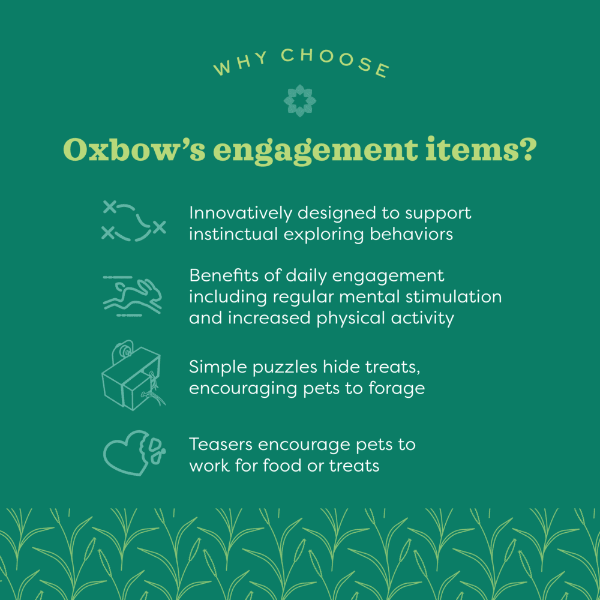 Oxbow Enriched Life Play Garden - An Ideal Pet Enrichment Toy
