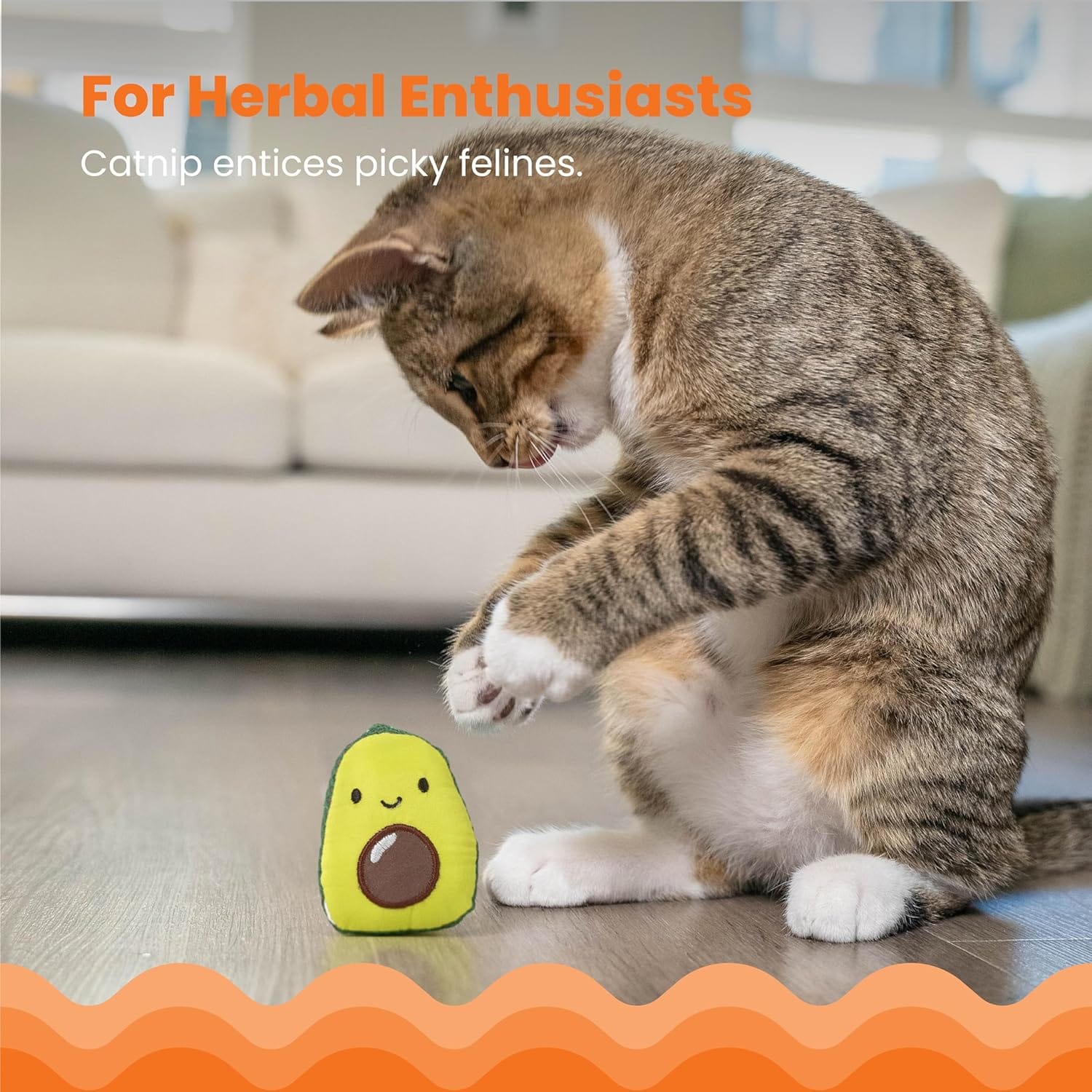 Petstages Adorable Lil' Avocato Dental Cat Chew Toy for Feline Fun